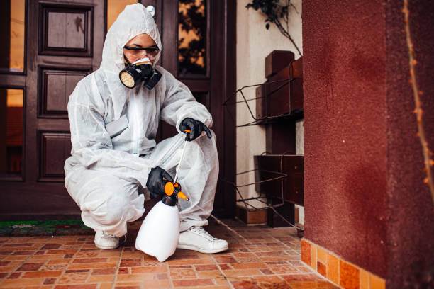Attic and Crawl Space Rodent Treatment in Jackson